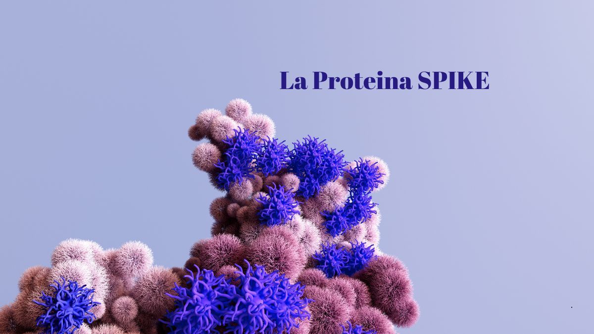 Microbiota: l'importanza della flora batterica intestinale | Poliambulatorio IGEA Piacenza Etimologia e Fisiopatologia della Proteina SPIKE: Il ruolo della Spike nella salute umana | Poliambulatorio IGEA Piacenza