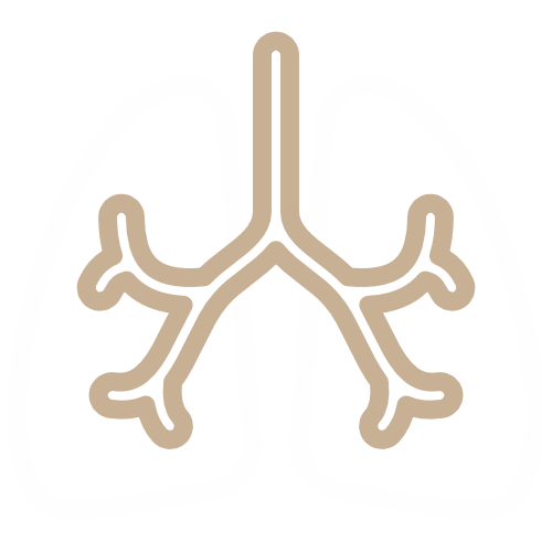 La Pneumologia del Poliambulatorio IGEA Piacenza si occupa delle malattie dell'apparato respiratorio, e quindi dei polmoni, dei suoi annessi e delle vie respiratorie. I suoi obiettivi sono quelli di escludere, diagnosticare o monitorare un disturbo a carico di queste strutture indispensabili alla vita.