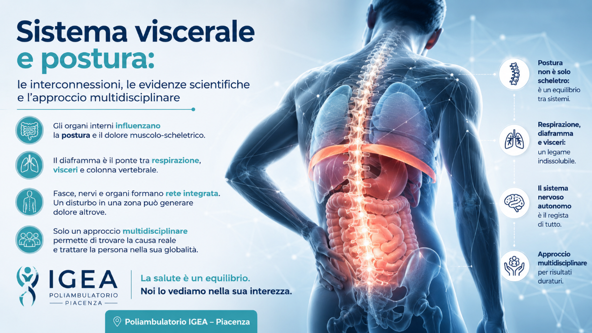 Sistema viscerale e postura | Poliambulatorio IGEA