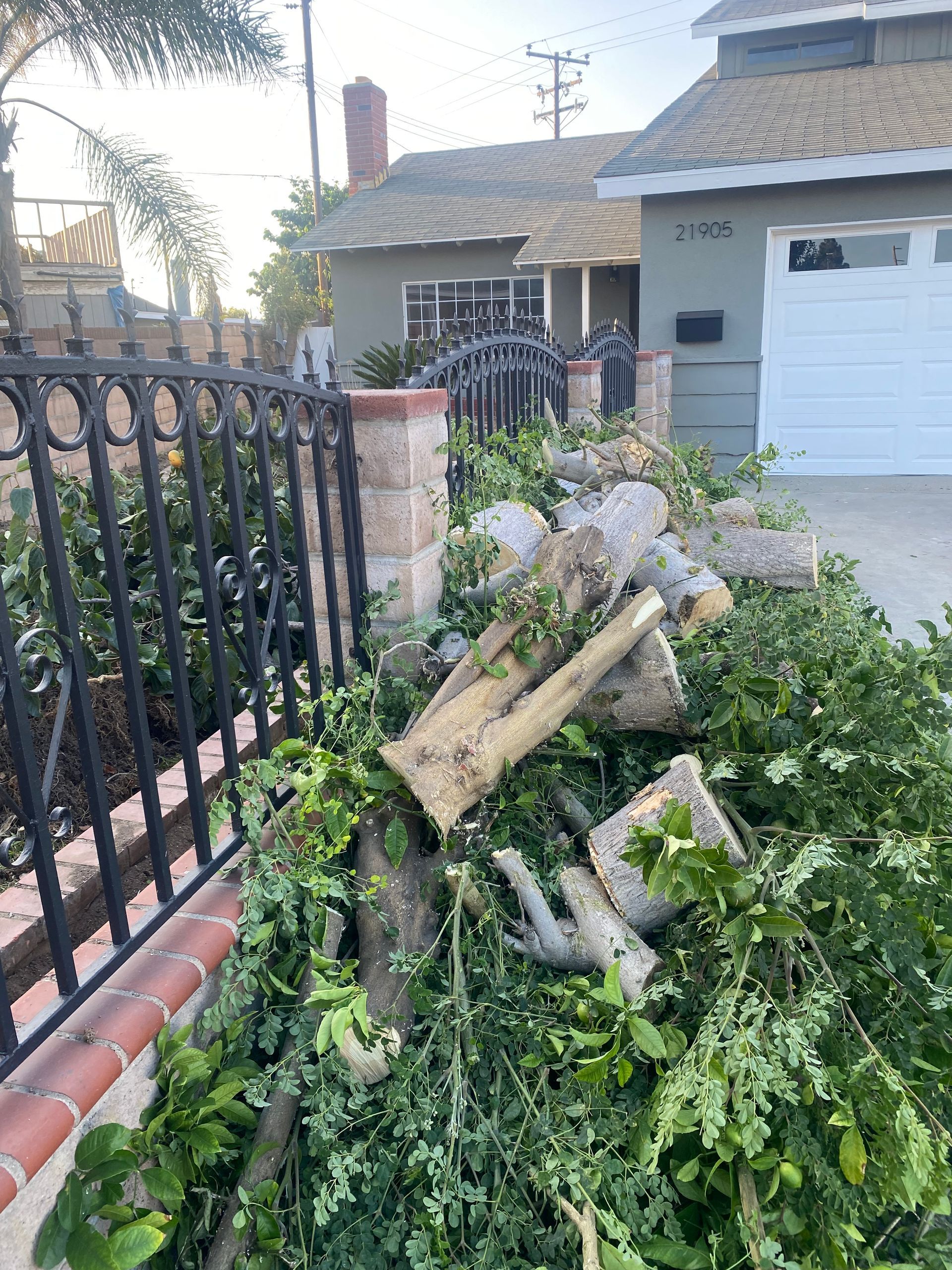 Pile of tree limbs and greenery by a brick and black iron fence, in front of a house with a white garage.