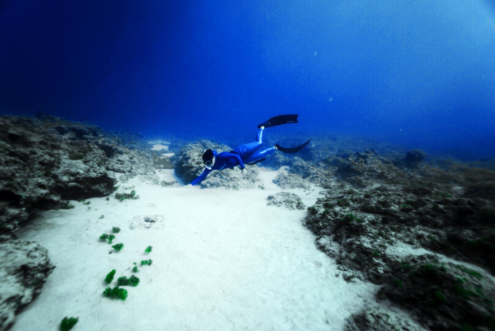 freediving lambai island