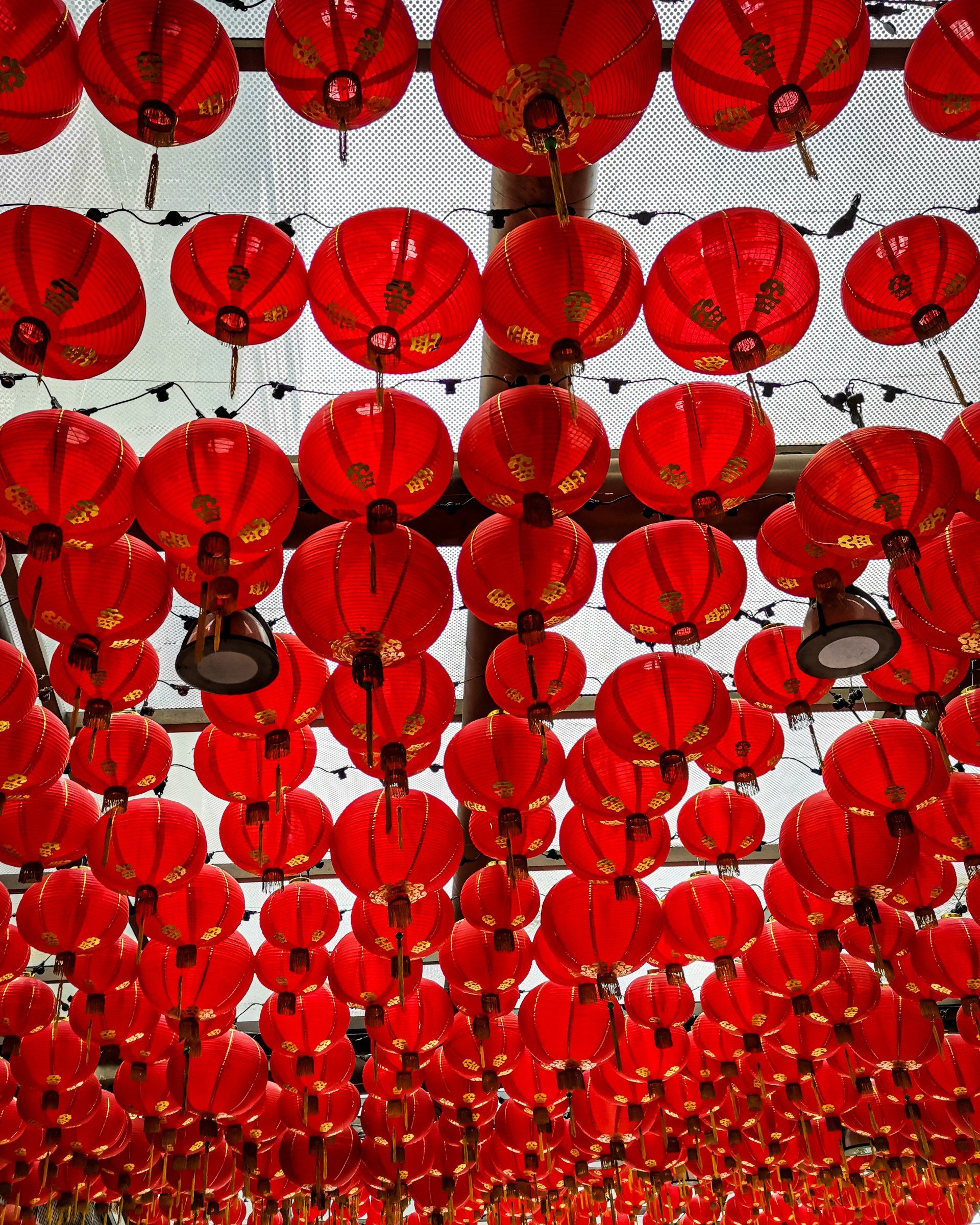 freediving taiwan chinese new year