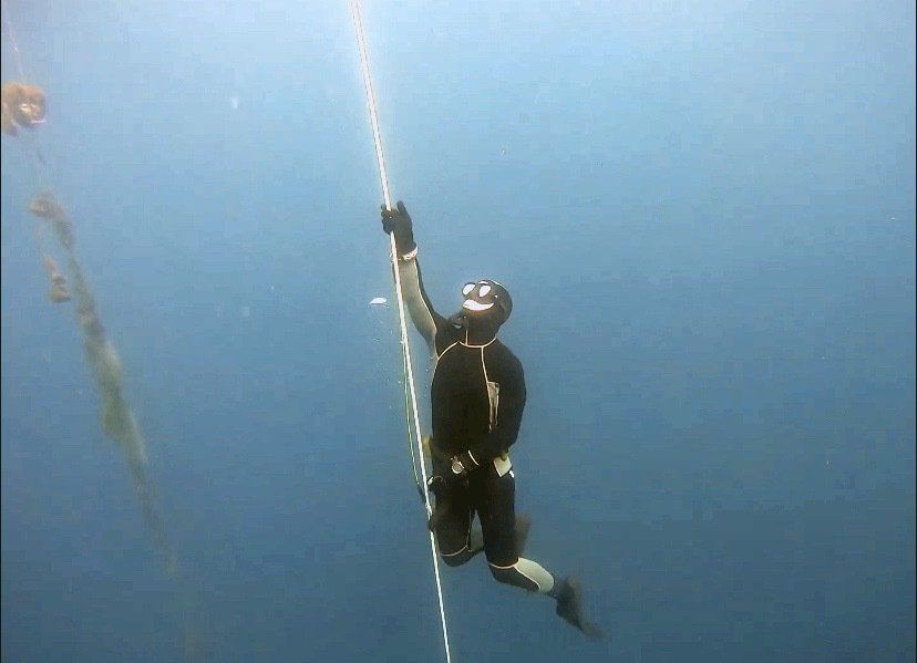 freediving taiwan ascending