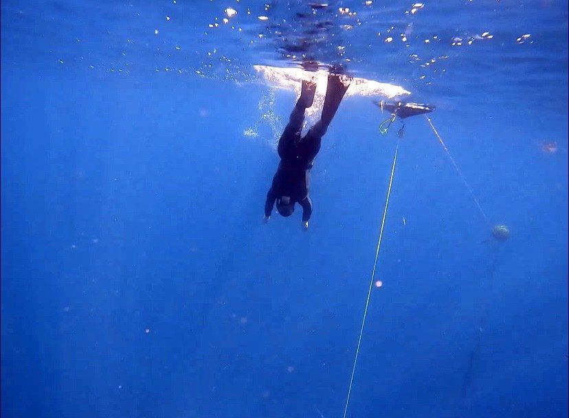 freediving taiwan duck dive