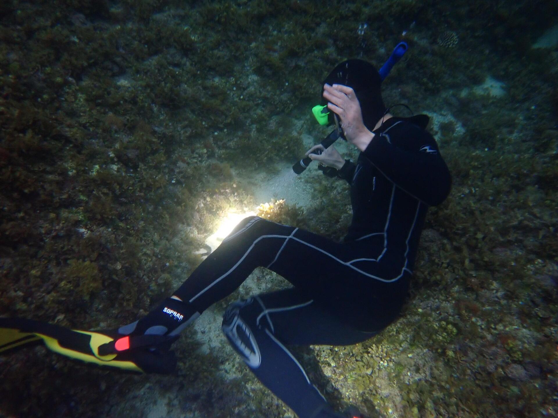 freediver snorkel in mouth
