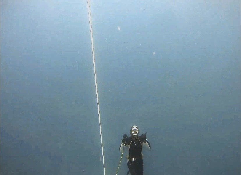 freediver shaka