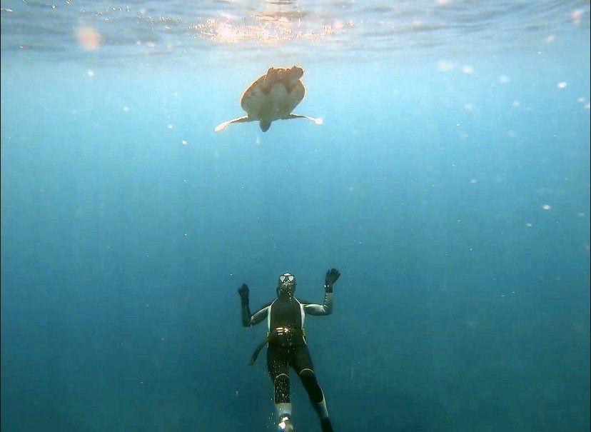 xiaoliuqiu freediver