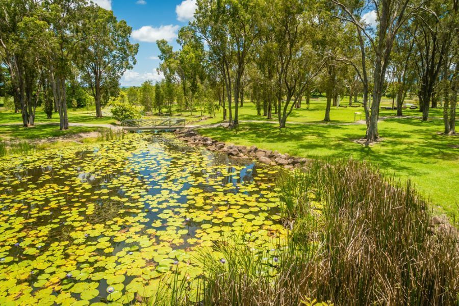 A Pond Filled With Water Lilies in a Park Surrounded by Trees  — DJ's Pressure Cleaning In Ingham, QLD