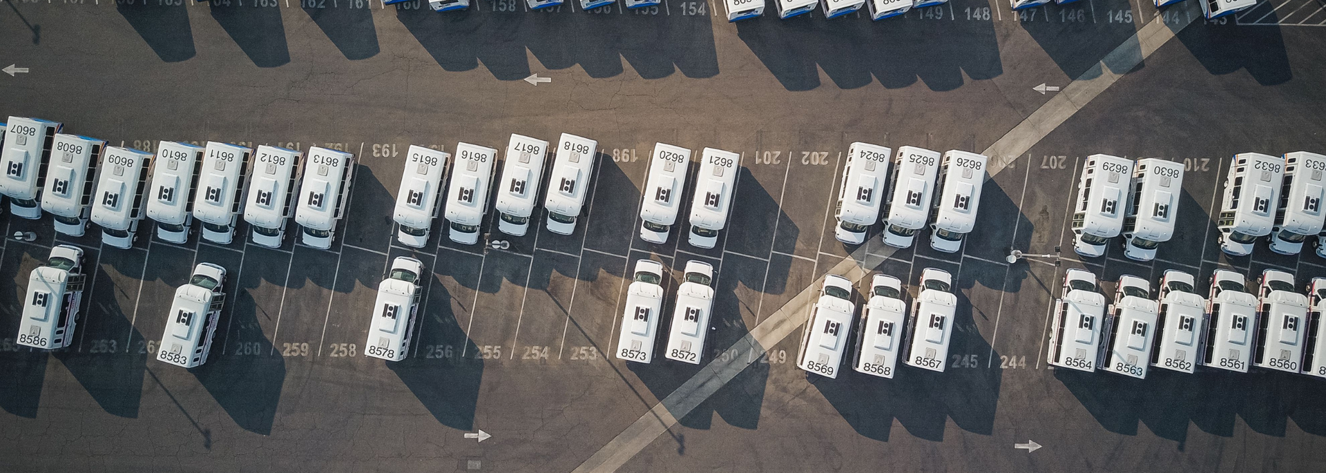 Picture of a fleet of vehicles. 
