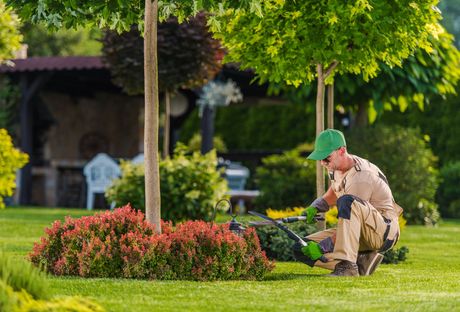 A professional gardener in a green cap and beige work clothes trims a small shrub in a lush, green backyard.