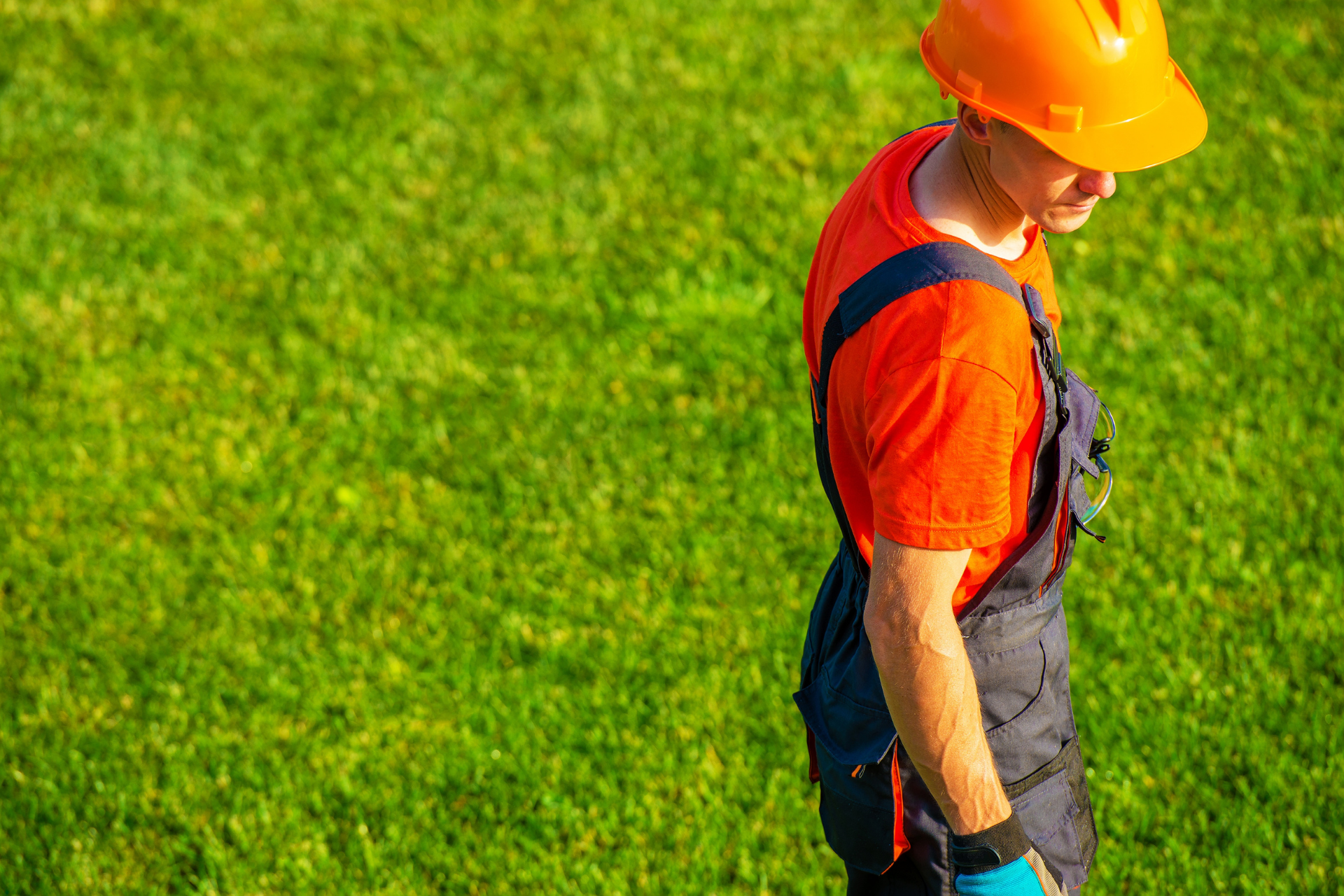 Construction worker in orange hard hat and vest standing on green grass.