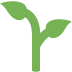 Icono de planta verde brotando con dos hojas sobre un fondo blanco
