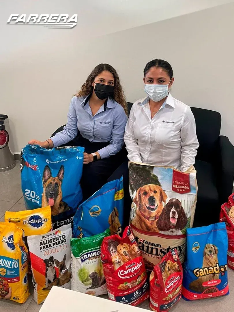 Dos personas enmascaradas están sentadas detrás de un expositor con bolsas y sacos variados de comida para mascotas.