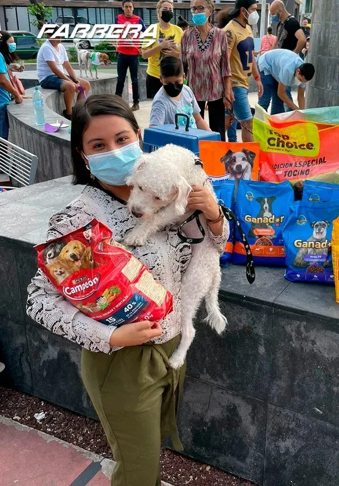 Una persona sostiene un perro pequeño blanco y bolsas de comida para mascotas en una zona de mercado al aire libre.