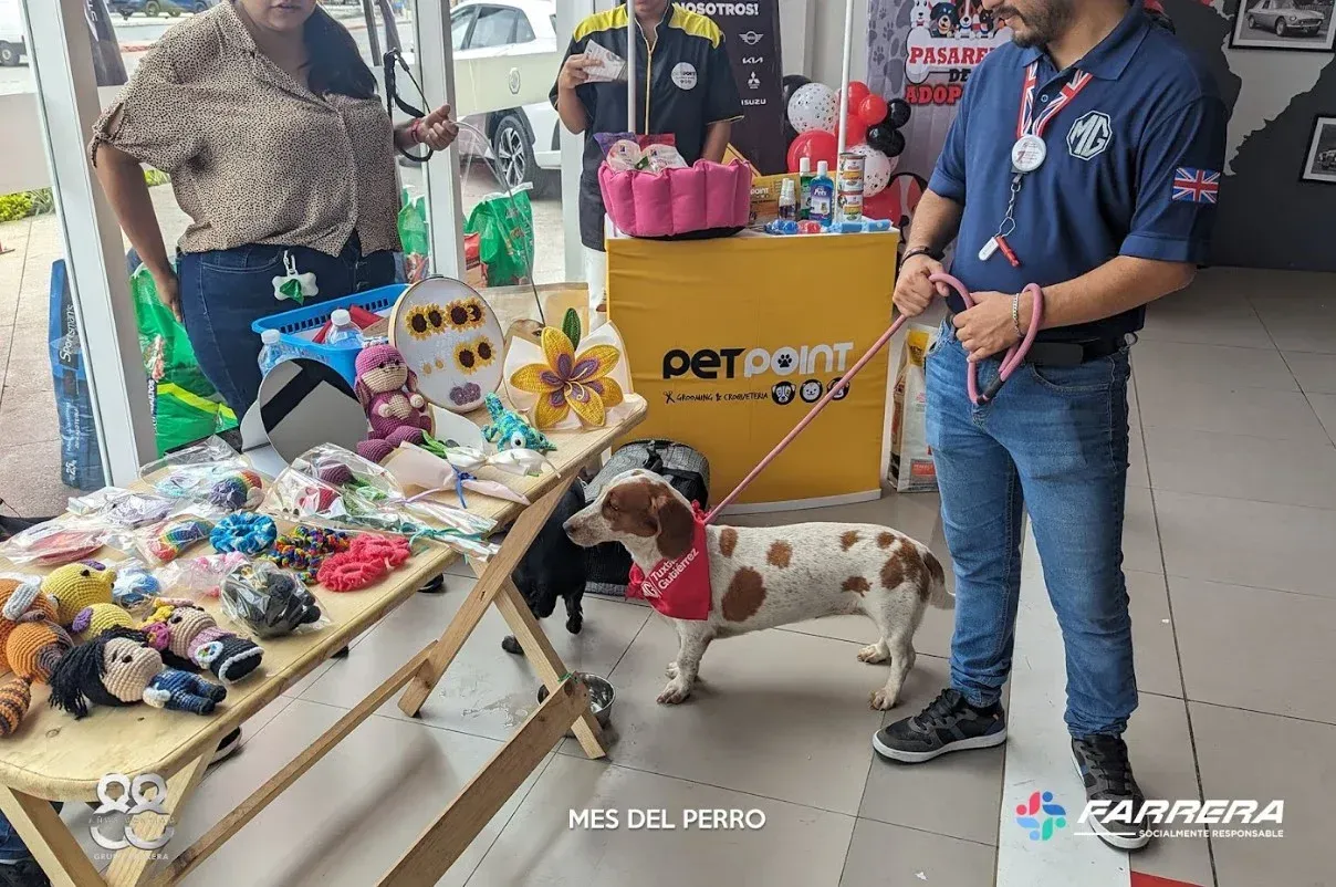 Puesto de adopción de mascotas con perros, artículos para mascotas y dos personas de pie junto a una mesa de exhibición.