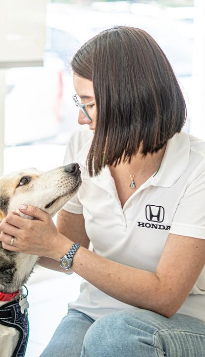 Un veterinario con bata blanca examina con delicadeza a un perro en una clínica luminosa.
