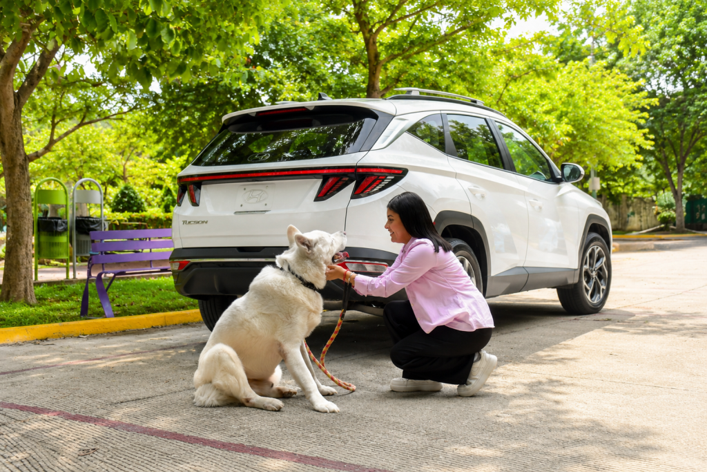 Una mujer arrodillada junto a un SUV blanco acaricia a un perro sentado en una carretera arbolada.