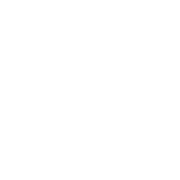 avvo icon