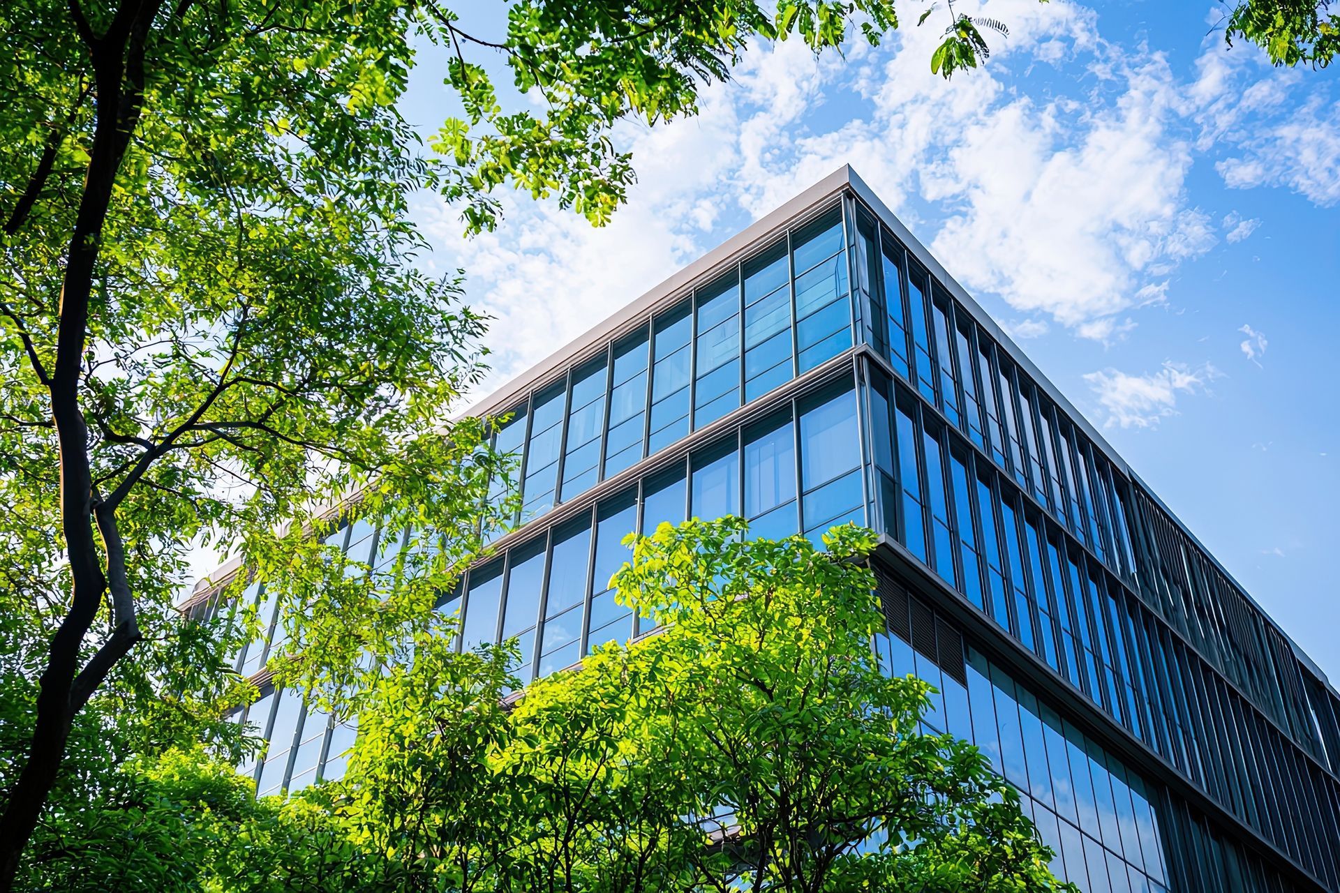 Modern glass office building partially obscured by lush green trees against a bright blue sky.