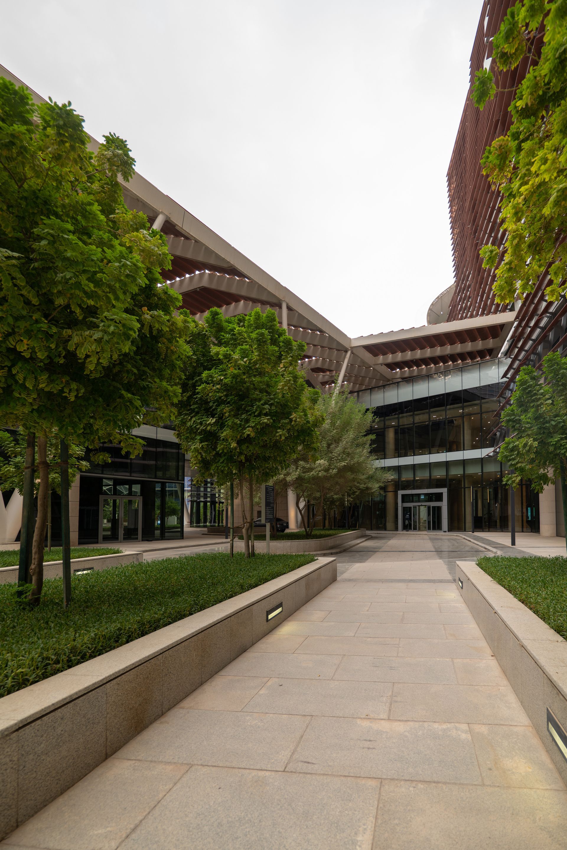 Tree-lined courtyard walkway leading to a modern building entrance with glass and brick facades