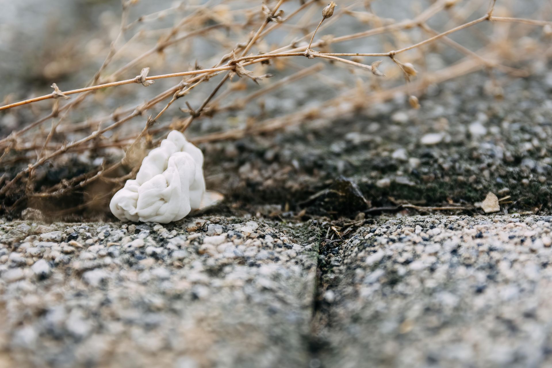 A wad of discarded white chewing gum sits on a dark gray stone patio next to dried, brown plant stalks.