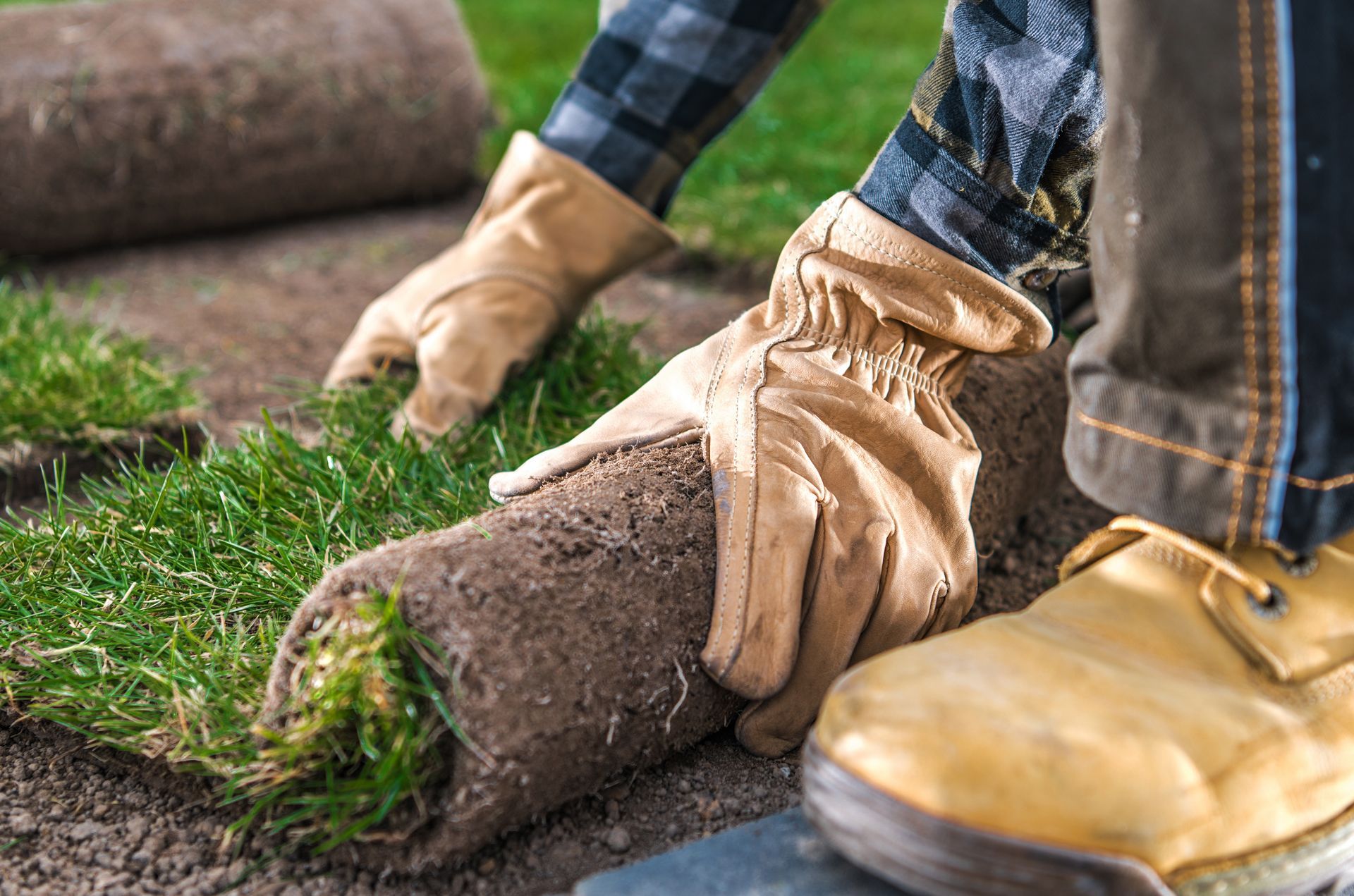 Lawn & Turf Care