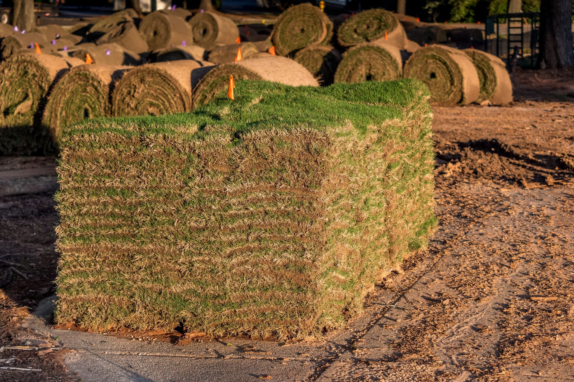 A pallet of rectangular sod pieces stacked in a field, with numerous rolled sod sections in the background.