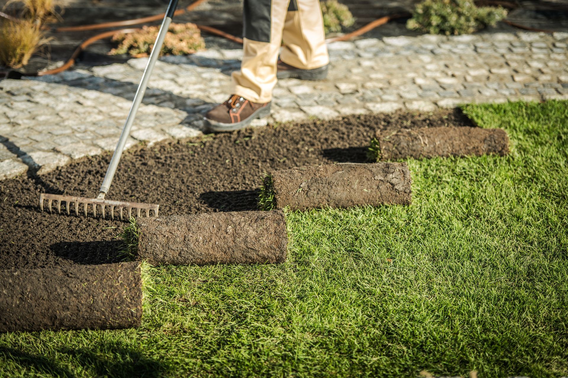 A worker uses a rake to smooth soil while laying down strips of sod to create a new lawn next to a cobblestone path.