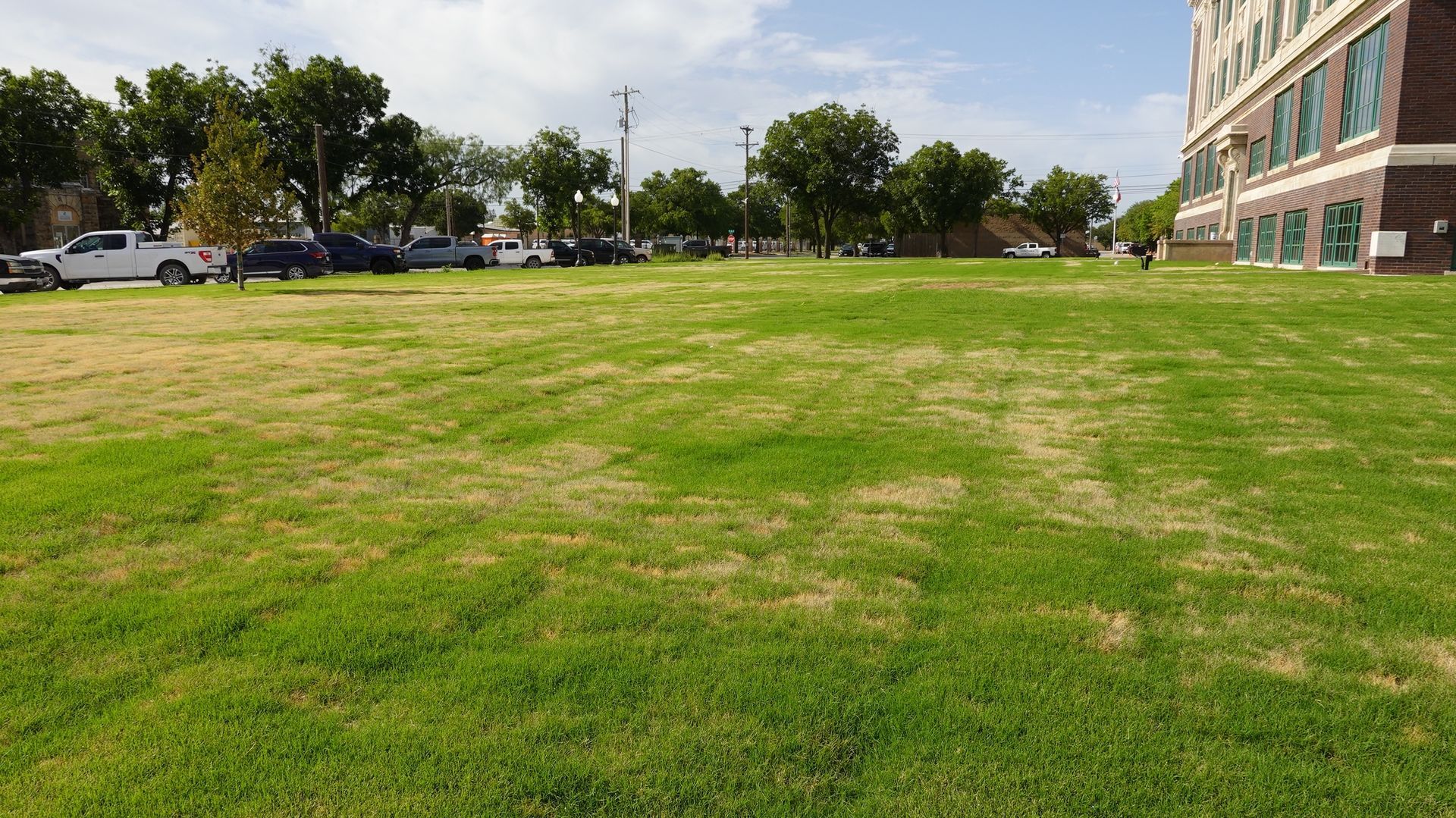 A large, grassy field with patches of yellowing grass, bordered by a building on the right and a parking lot with cars.