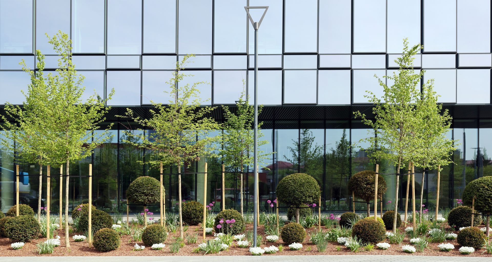 Small trees and manicured shrubs planted in a garden bed in front of a modern glass office building.