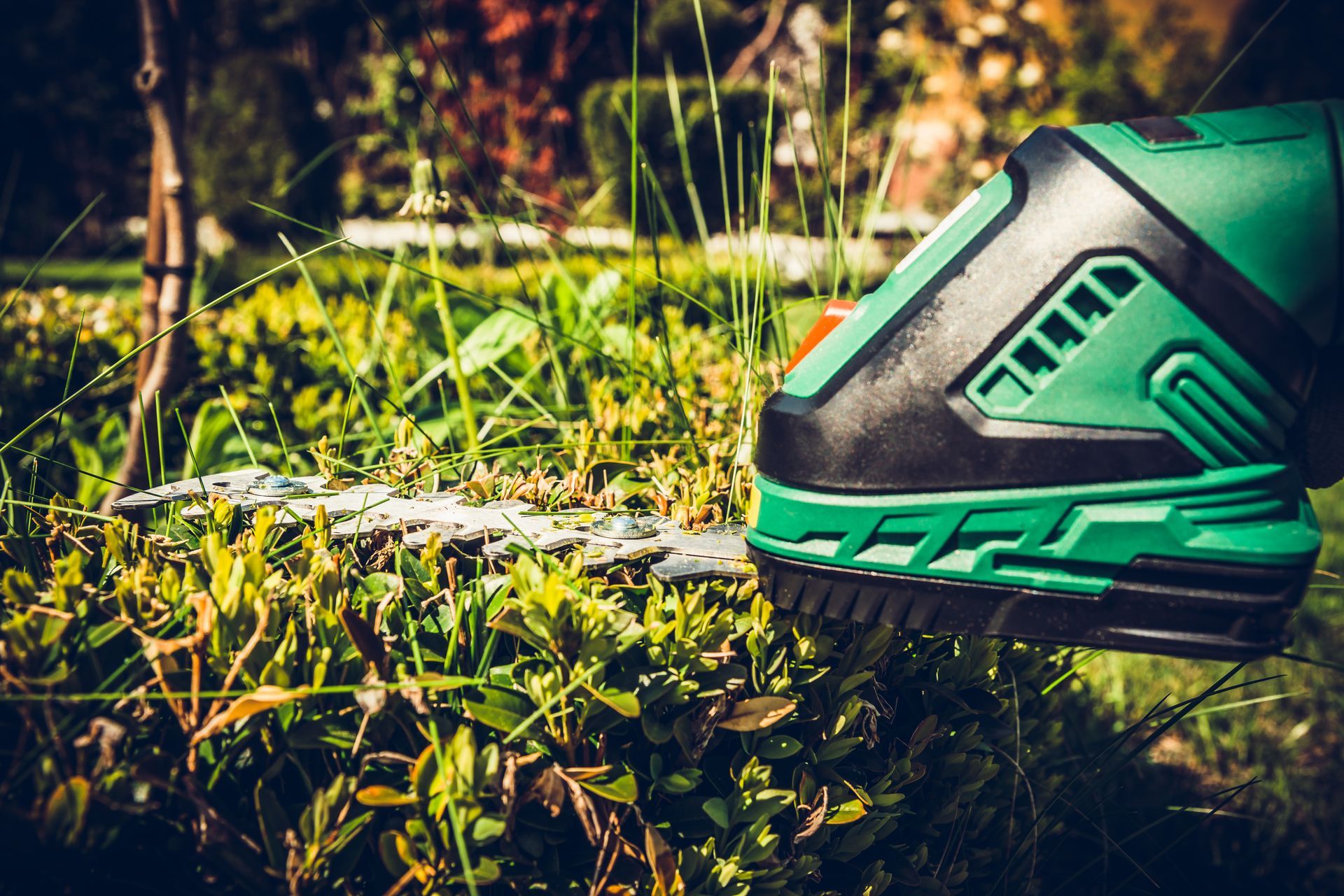 Close-up of a green and black electric hedge trimmer cutting overgrown greenery in a garden.