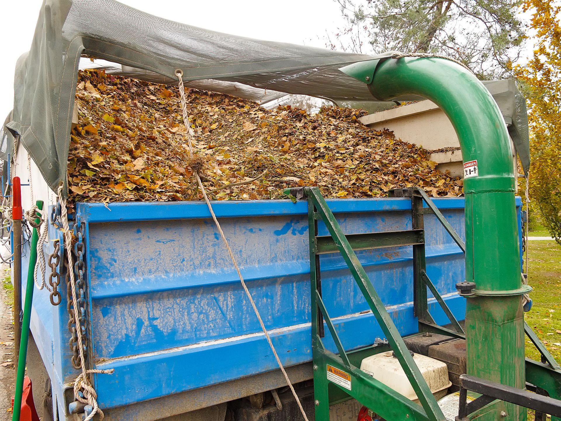 A green leaf vacuum chute deposits autumn leaves into the blue metal bed of a truck, covered by a mesh screen.