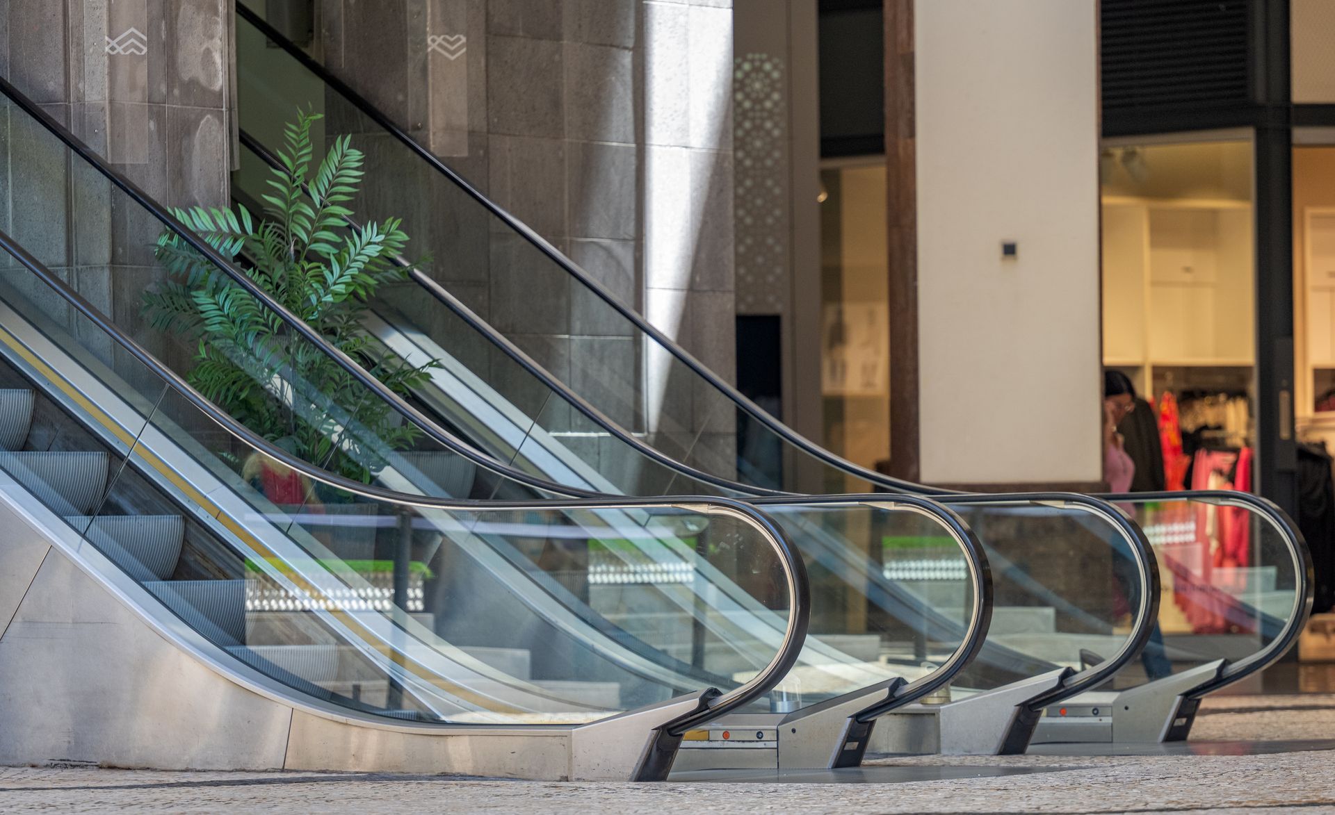 Two sets of metal and glass escalators ascending into a building entrance with a green potted plant in the background.