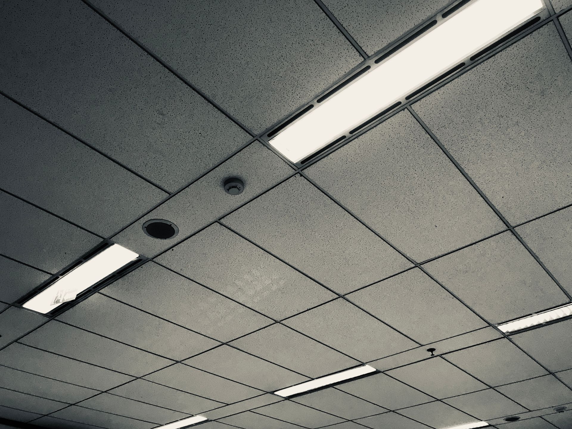 A suspended drop ceiling in an office, featuring grid-patterned tiles, recessed fluorescent light fixtures, and sensors.