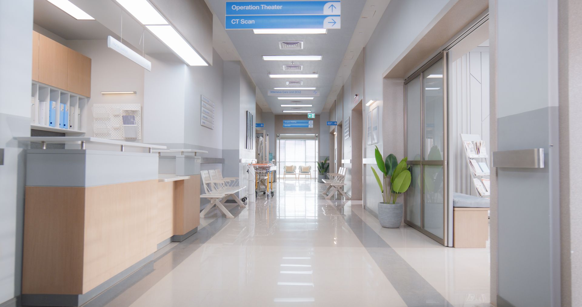 A bright, clean hospital hallway with a nursing station on the left, a plant on the right, and signs hanging above.
