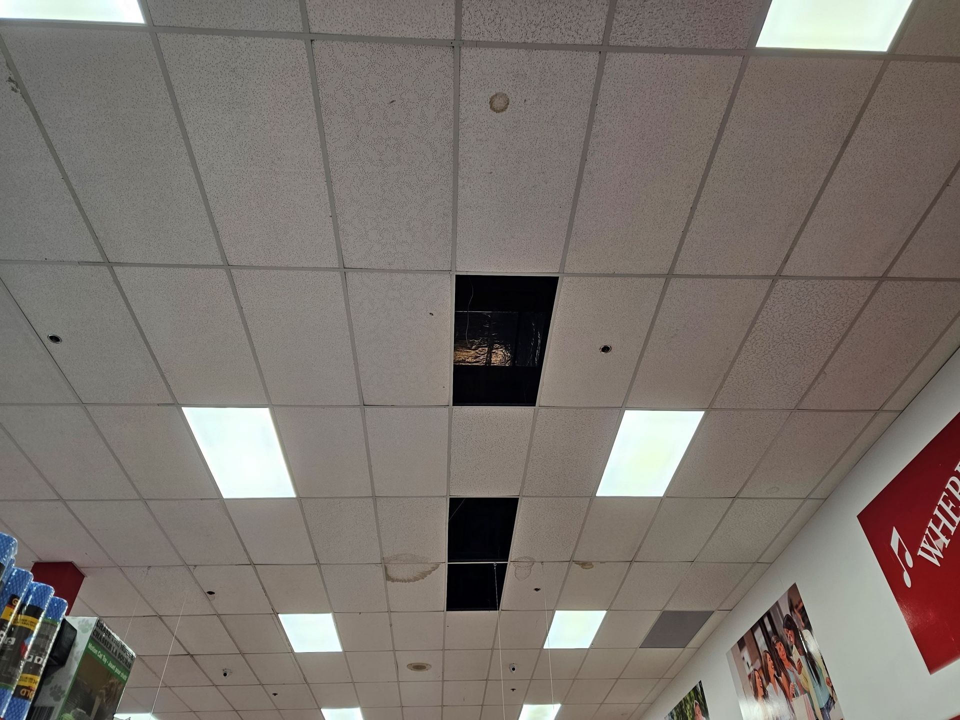 A drop ceiling in a commercial space with two missing rectangular tiles, revealing dark voids behind them.