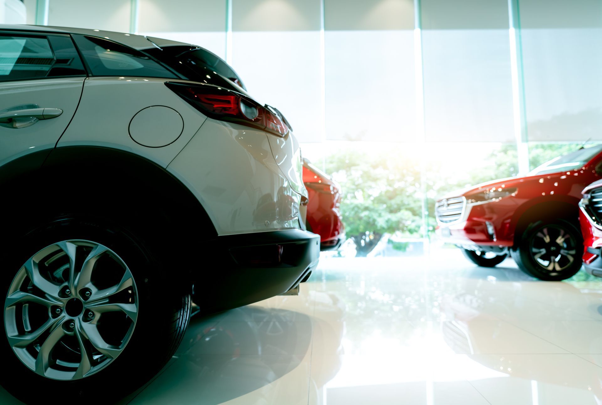 A white SUV parked in a car dealership showroom with other red vehicles visible in the background under bright lighting.