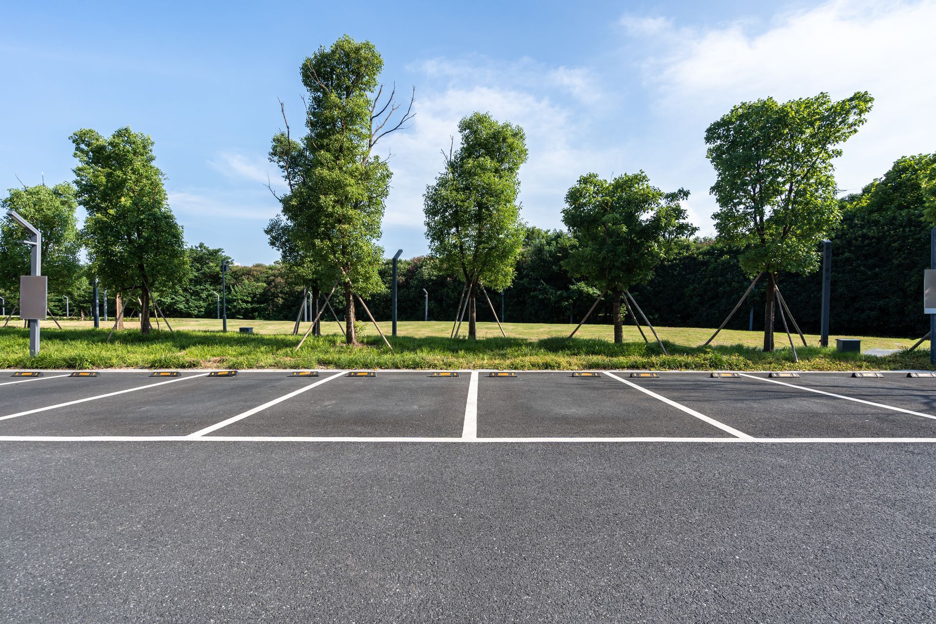 An empty asphalt parking lot with white painted spaces, set against a row of green trees under a bright blue sky.