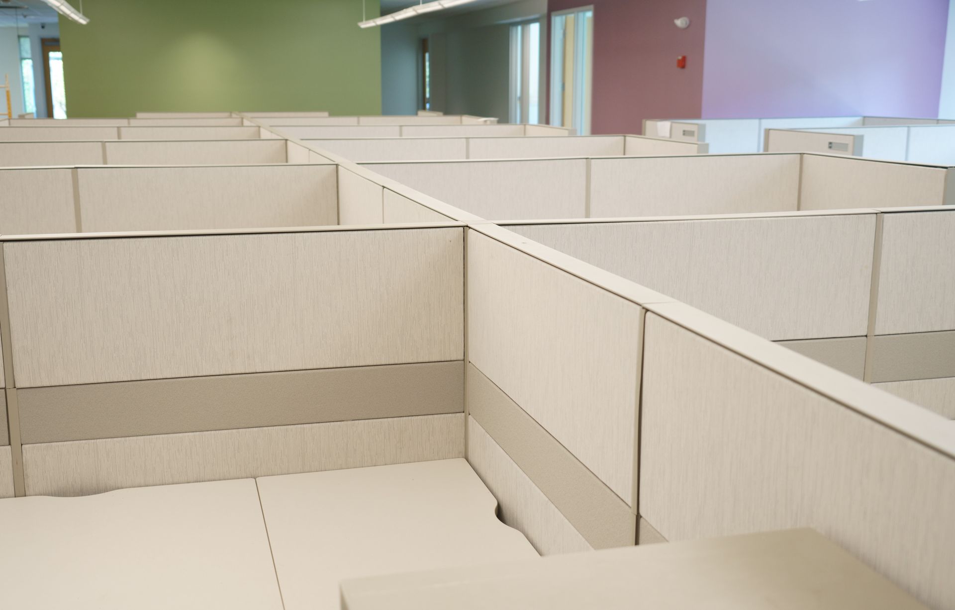 Empty office cubicles with off-white walls arranged in a grid, featuring light green and purple accent walls in the back.