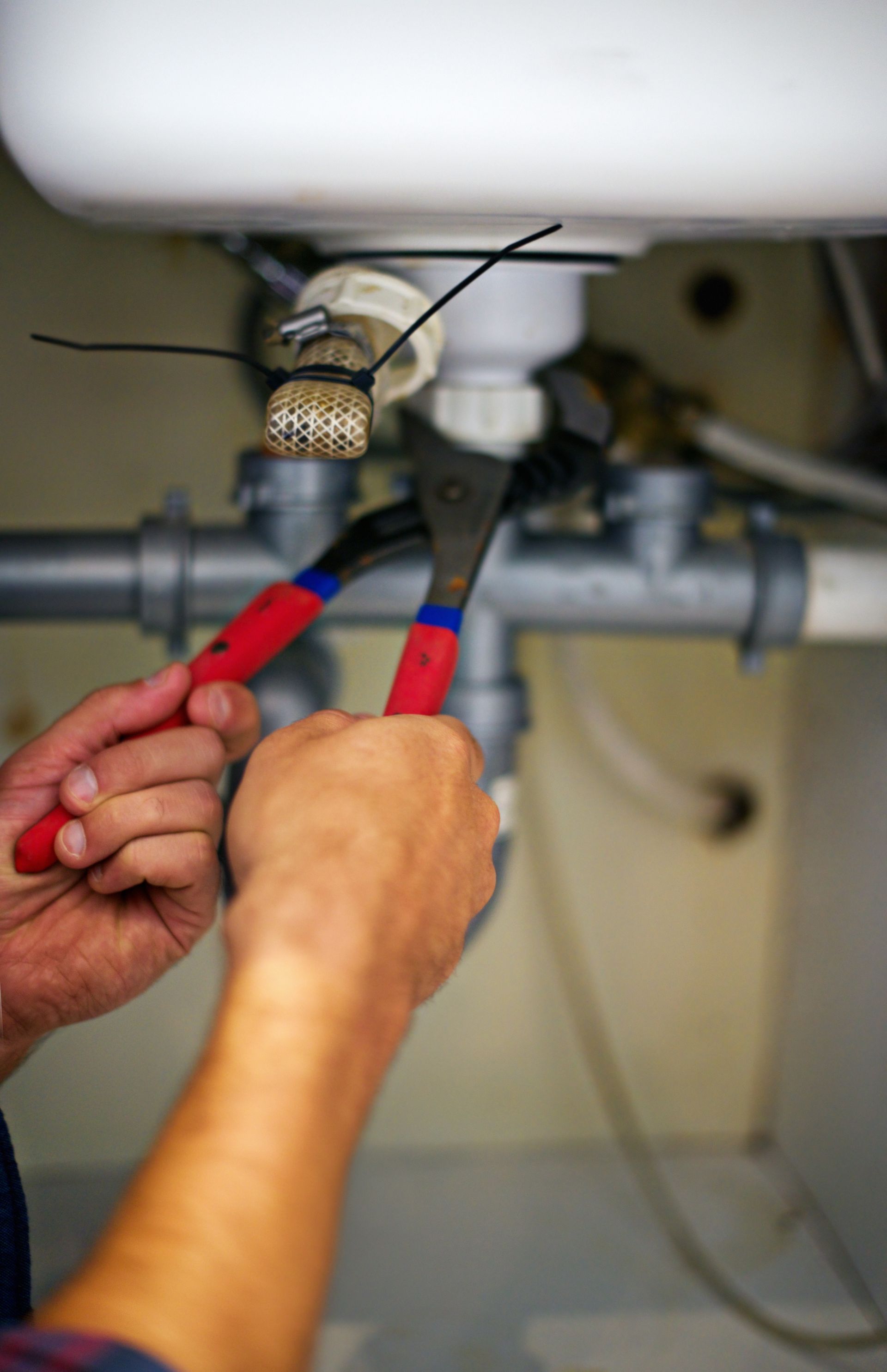Carpet Cleaning Services