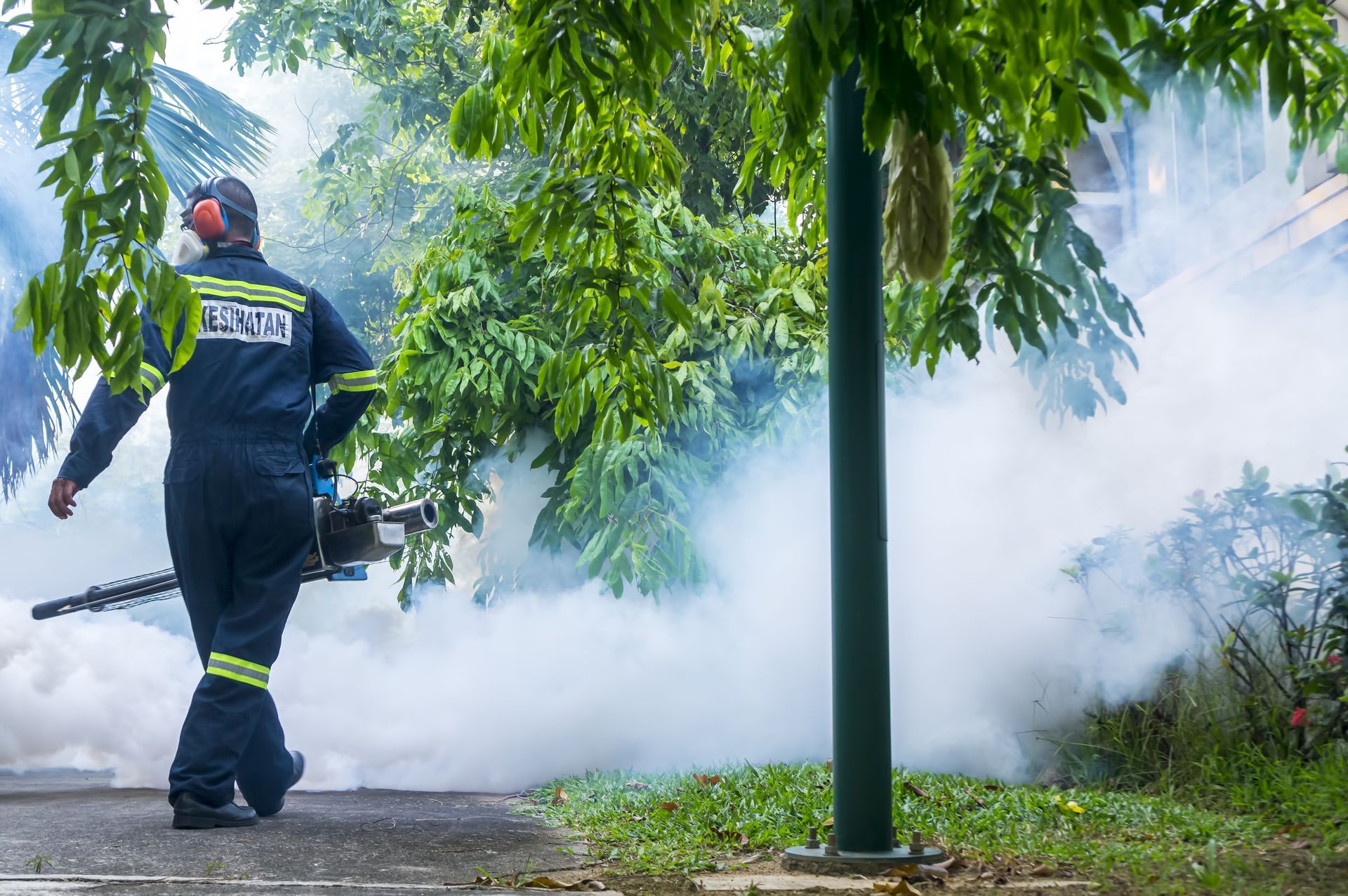 A worker in protective uniform walks along a path, spraying a fog of insecticide to control mosquitoes.