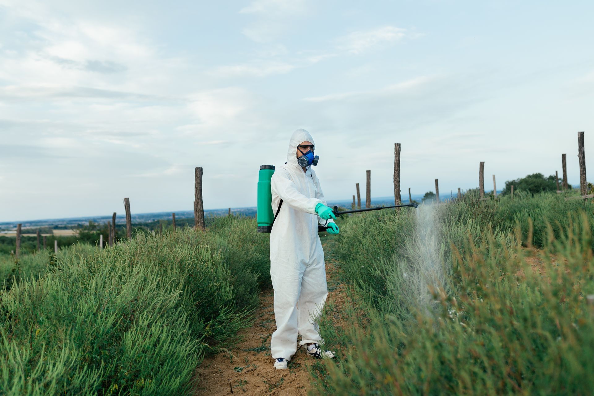 A person in a protective white hazmat suit and respirator sprays chemicals on a field of crops in an outdoor setting.
