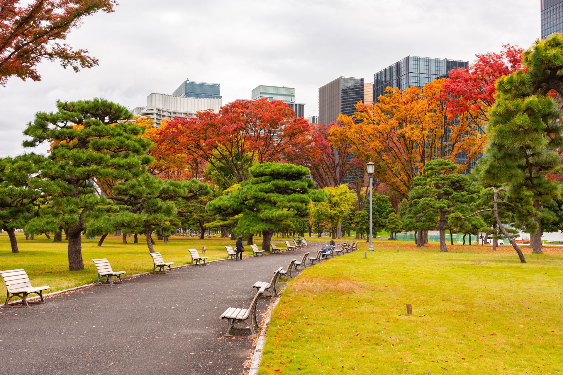 A path winds through a park with autumn foliage in vibrant orange and red, surrounded by green trees and city buildings.