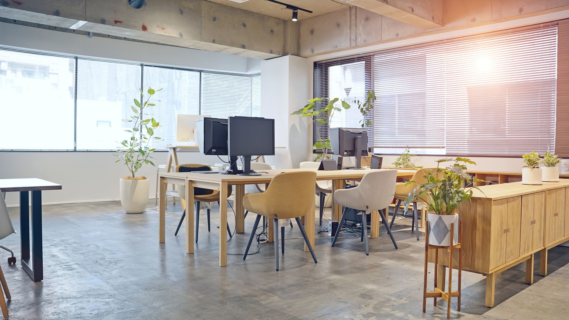 A bright, modern open-plan office with desks, chairs, potted plants, and large windows with natural sunlight.