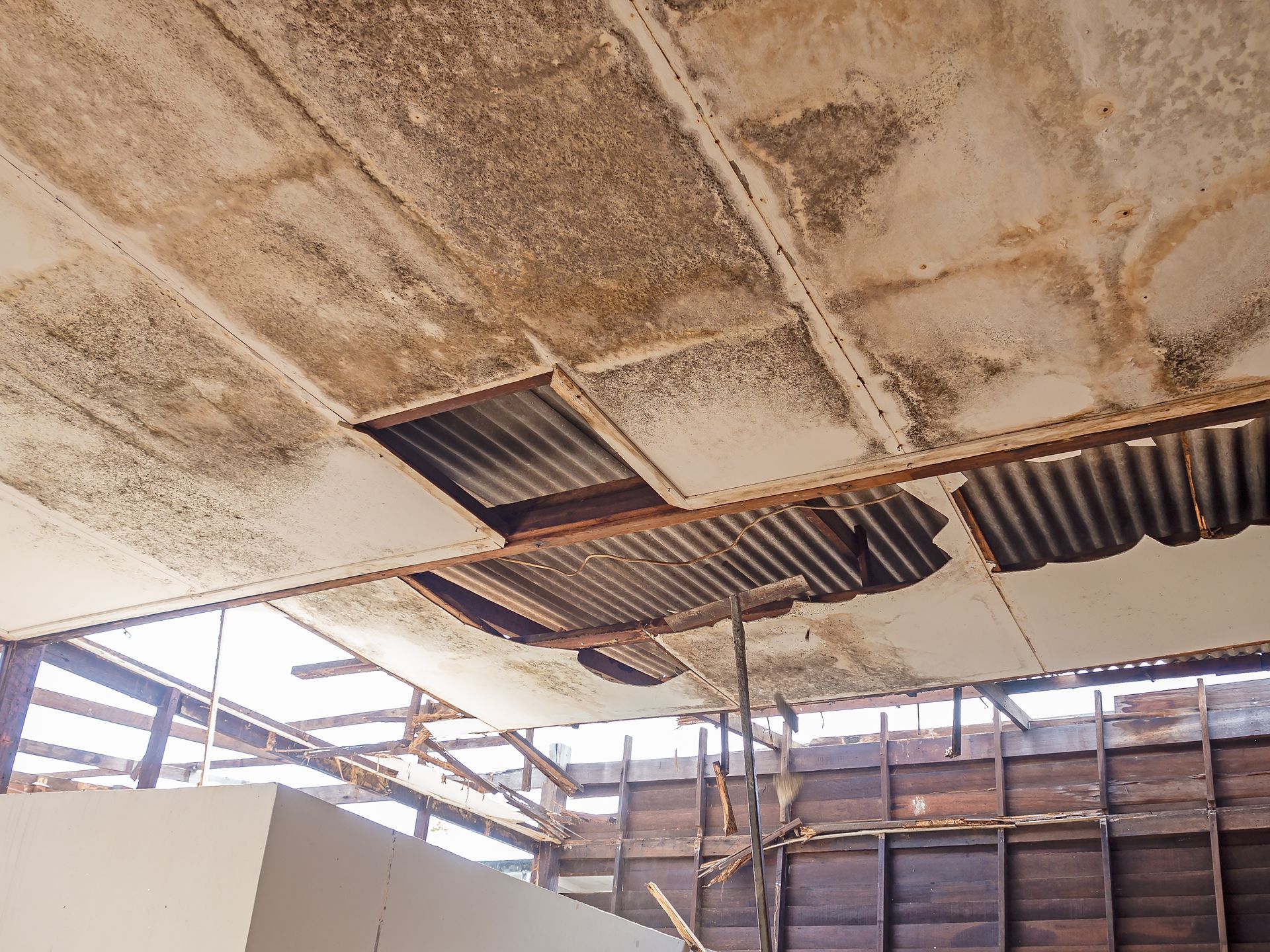 Damaged ceiling panels with missing sections revealing a corrugated metal roof and exposed wooden structure.