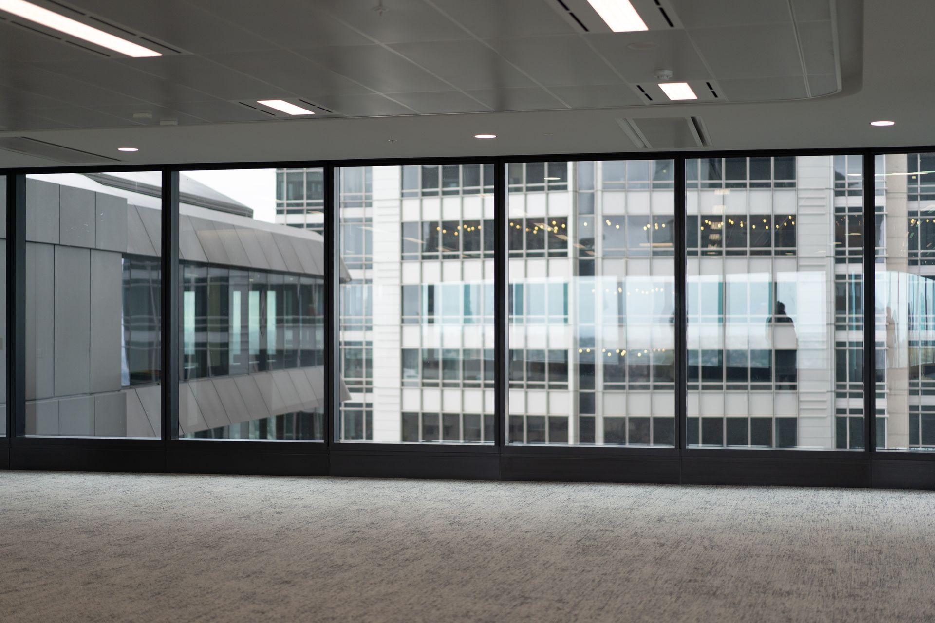 An empty office interior with carpeted flooring facing a large wall of windows overlooking adjacent city buildings.
