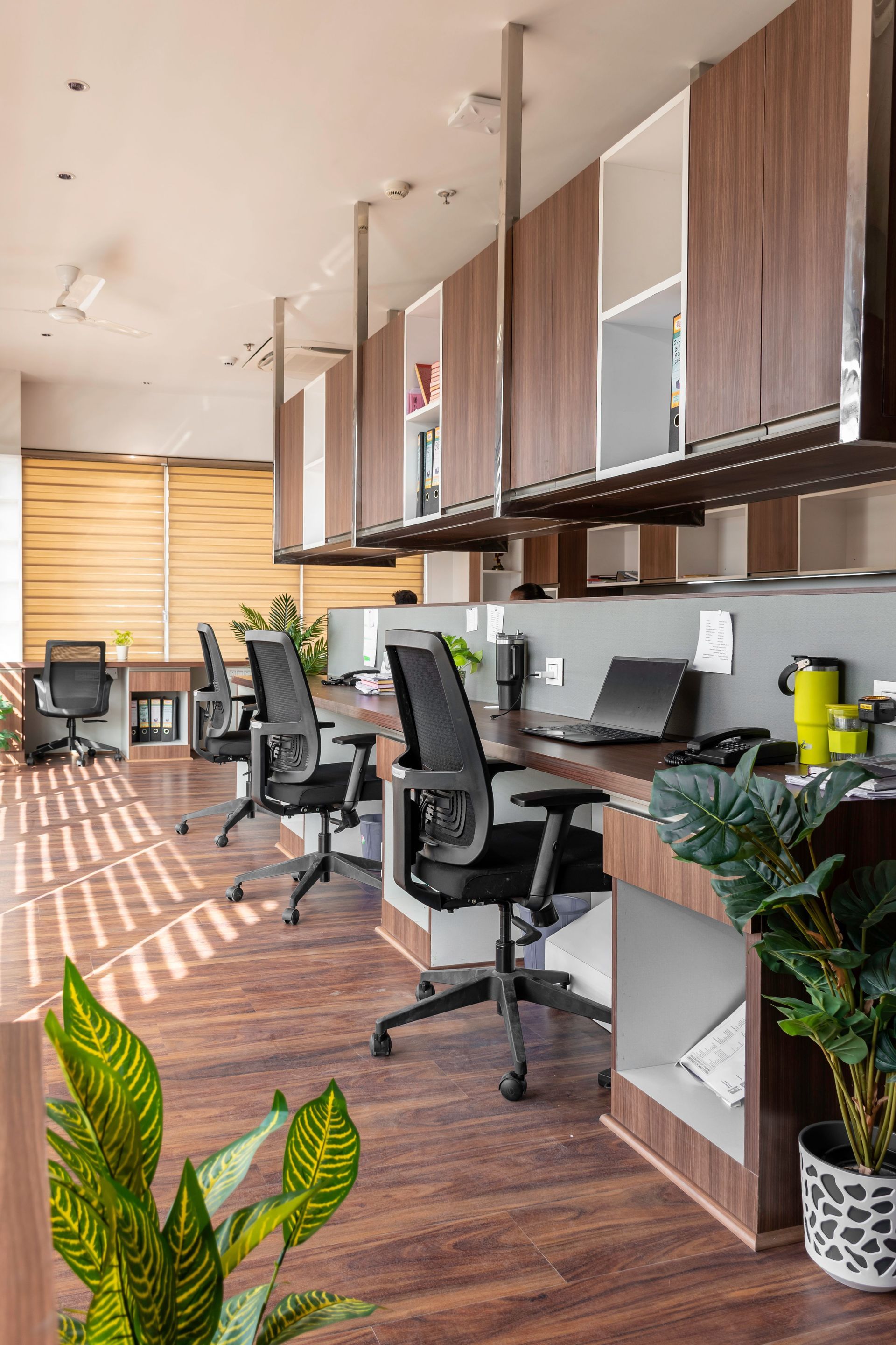 Modern open office with desks, computer monitors, swivel chairs, and potted plants along a sunlit window wall