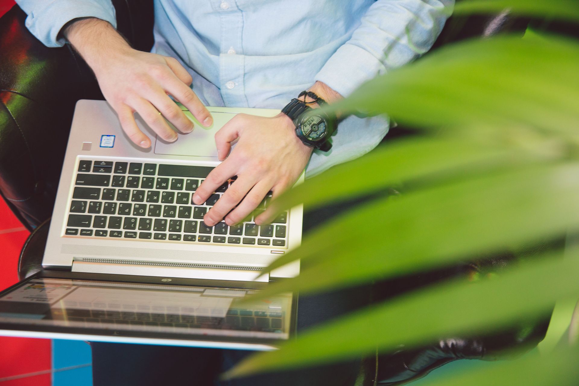 Hands typing on a laptop at a desk, partially obscured by green plant leaves