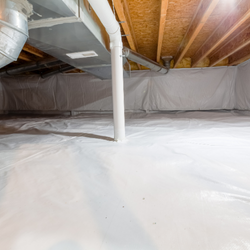 White-walled crawl space with exposed wooden beams, ducts, pipes, and white vapor barrier on the floor.