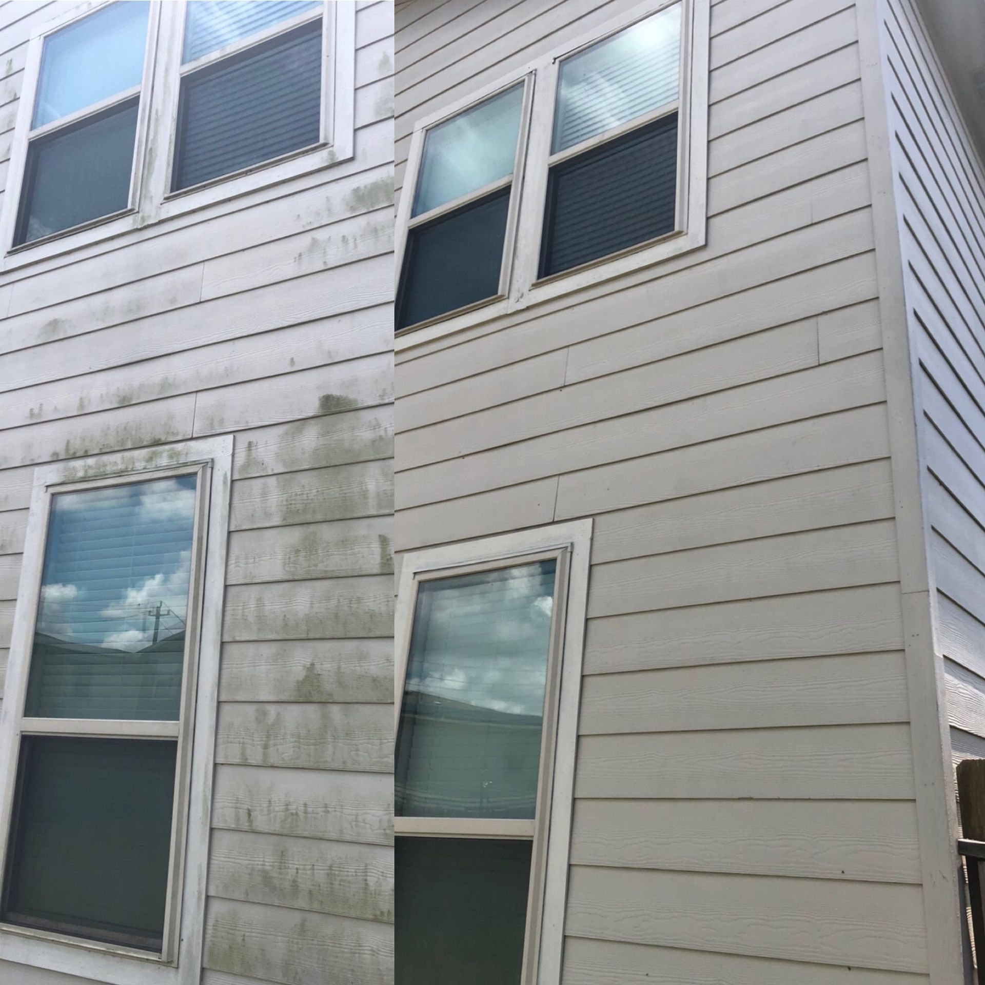 Side of a white house with windows, showing greenish water stains on the siding
